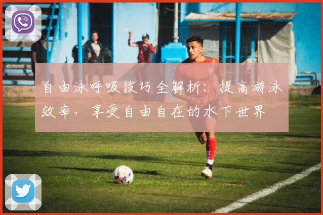 自由泳呼吸技巧全解析：提高游泳效率，享受自由自在的水下世界
