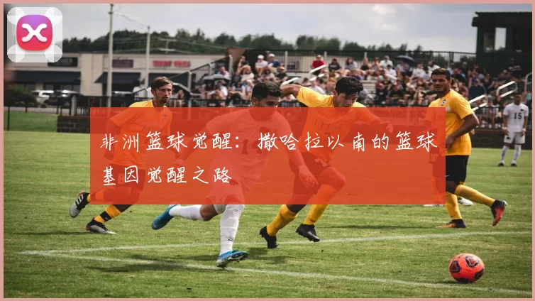 非洲篮球觉醒：撒哈拉以南的篮球基因觉醒之路