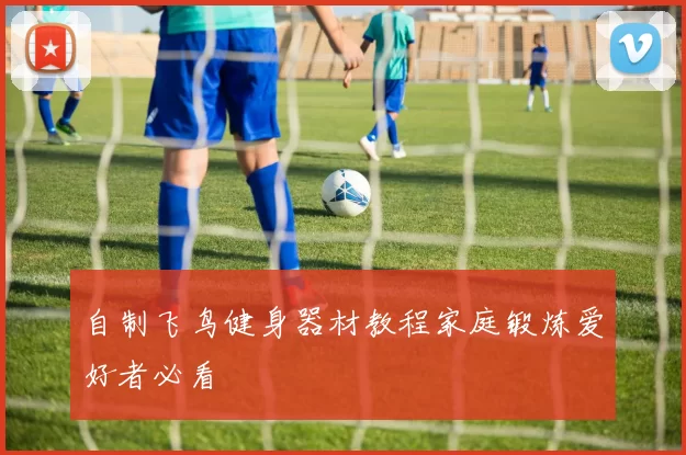 自制飞鸟健身器材教程家庭锻炼爱好者必看