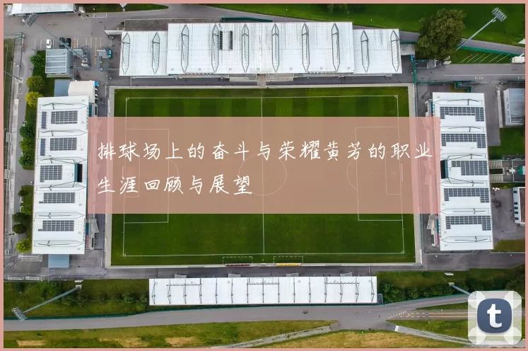 排球场上的奋斗与荣耀黄芳的职业生涯回顾与展望