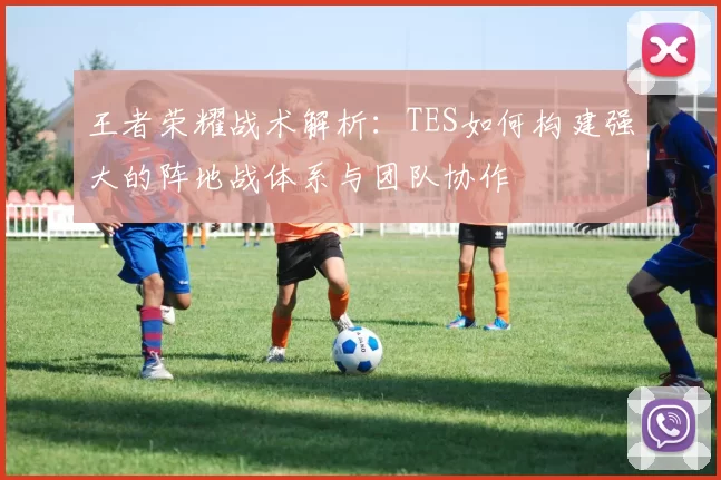 王者荣耀战术解析：TES如何构建强大的阵地战体系与团队协作