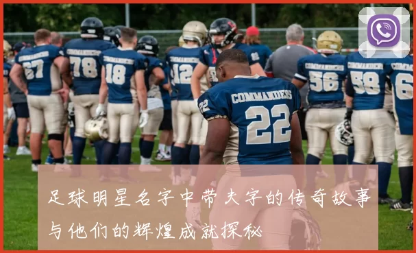足球明星名字中带夫字的传奇故事与他们的辉煌成就探秘