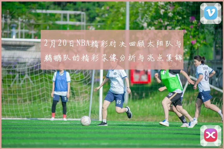 2月20日NBA精彩对决回顾太阳队与鹈鹕队的精彩录像分析与亮点集锦