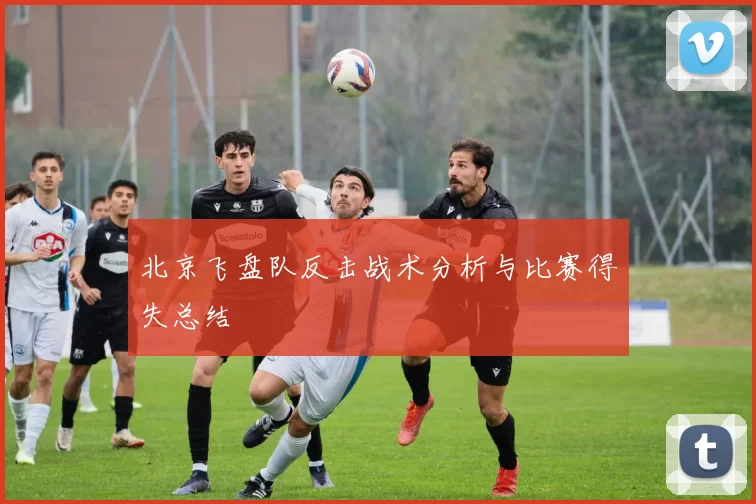北京飞盘队反击战术分析与比赛得失总结
