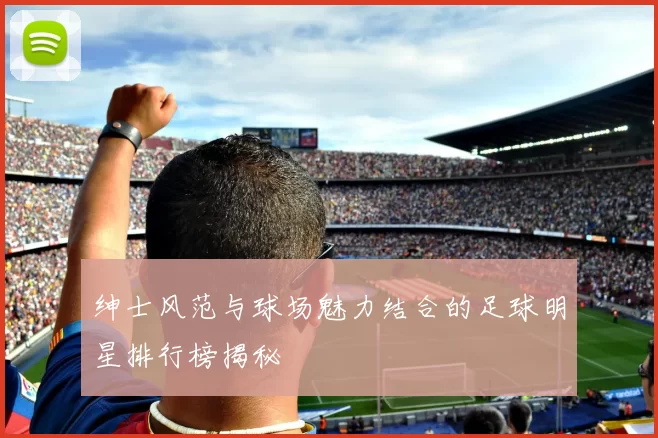 绅士风范与球场魅力结合的足球明星排行榜揭秘
