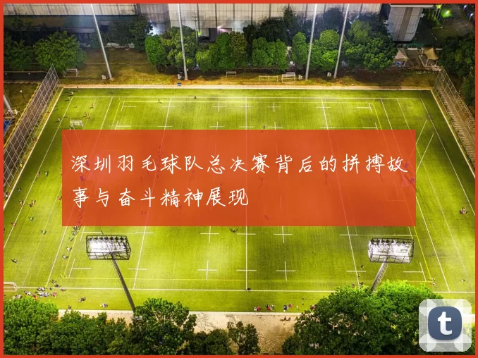 深圳羽毛球队总决赛背后的拼搏故事与奋斗精神展现