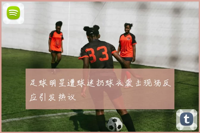 足球明星遭球迷扔球衣袭击现场反应引发热议