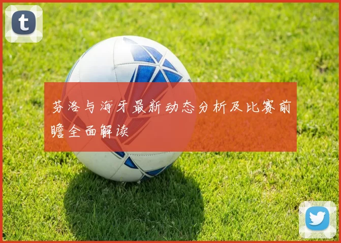 芬洛与海牙最新动态分析及比赛前瞻全面解读