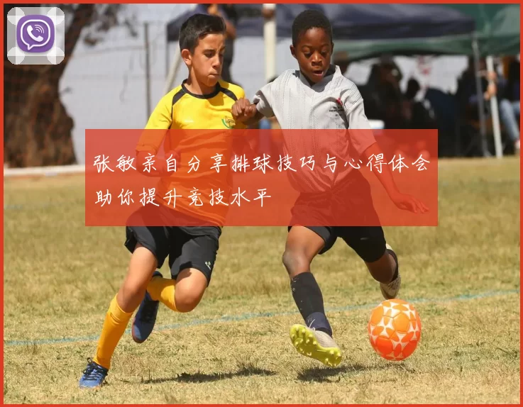 张敏亲自分享排球技巧与心得体会助你提升竞技水平