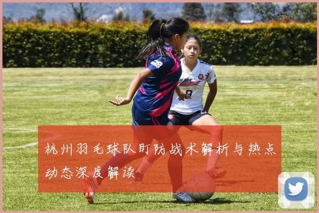 杭州羽毛球队盯防战术解析与热点动态深度解读