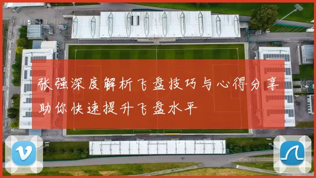 张强深度解析飞盘技巧与心得分享助你快速提升飞盘水平