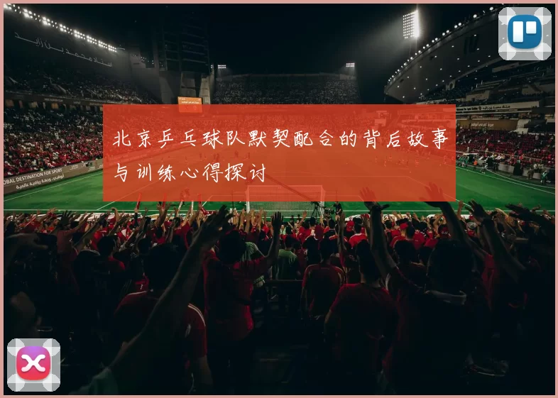 北京乒乓球队默契配合的背后故事与训练心得探讨
