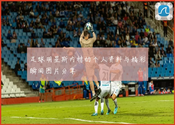 足球明星斯内特的个人资料与精彩瞬间图片分享
