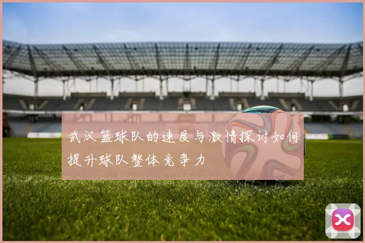 武汉篮球队的速度与激情探讨如何提升球队整体竞争力