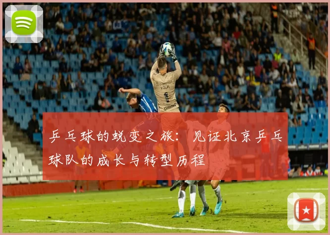 乒乓球的蜕变之旅：见证北京乒乓球队的成长与转型历程