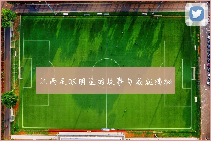 江西足球明星的故事与成就揭秘