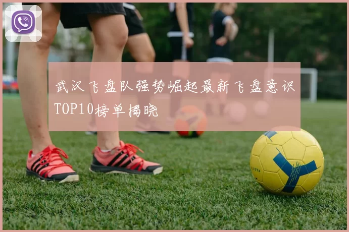武汉飞盘队强势崛起最新飞盘意识TOP10榜单揭晓