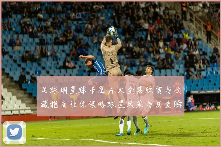 足球明星球卡图片大全集欣赏与收藏指南让你领略球星风采与历史瞬间