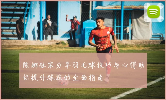 陈娜独家分享羽毛球技巧与心得助你提升球技的全面指南